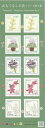 【記念切手】 おもてなしの花 第9集 82円切手シート 平成29年(2017年)発行【切手シート】