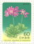 【記念切手】 高山植物シリーズ 第2集B ハクサンコザクラ（昭和59年)【切手シート】