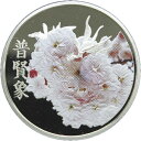 【銀メダル】桜の通り抜け2008 「普賢象」 造幣局製カラー銀メダル 平成20年(2008年)
