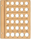 【テージー】令和コインアルバム用 令和6年～10年用リーフ「C-40S2」