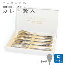 カレースプーン キャリ 5本セット カレー賢人 カレー専用スプーン ギフト YAMACO ヤマコ 燕三条 高級 ステンレス 山崎金属工業 アウトドア キャンプ ...