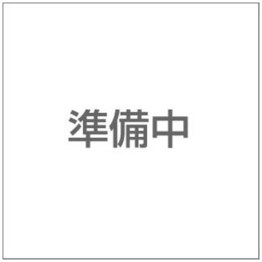 ケルヒャー アンダーボディスプレーランス 2638-817