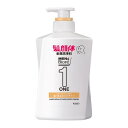 花王 メンズビオレONE オールインワン全身洗浄料 髪肌なめらかタイプ 本体 480ml