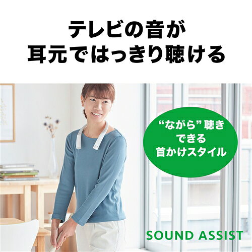 �����ǥ����ƥ��˥� AT-NSP700TV �磻��쥹�ͥå����ԡ����� SOUND ASSIST