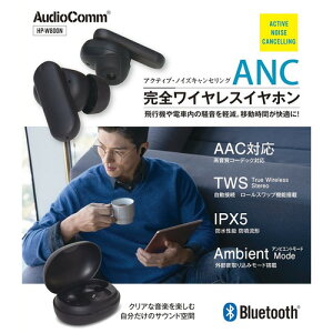 オーム電機 HPW800N ANC完全ワイヤレスホン ブラック