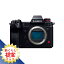 ڿ侩ʡۥѥʥ˥å DC-S1H-K ǥ륫 LUMIX ֥å DCS1HK