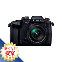 【推奨品】パナソニック DC-GH5M2M デジタル一眼カメラ DCGH5M2M