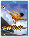 【BLU-R】少林サッカー