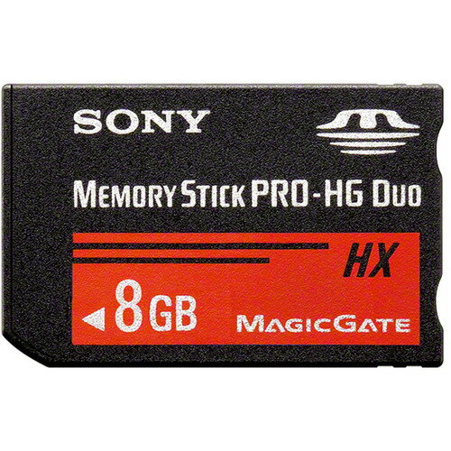 ˡ MS-HX8B ꡼ 8GB