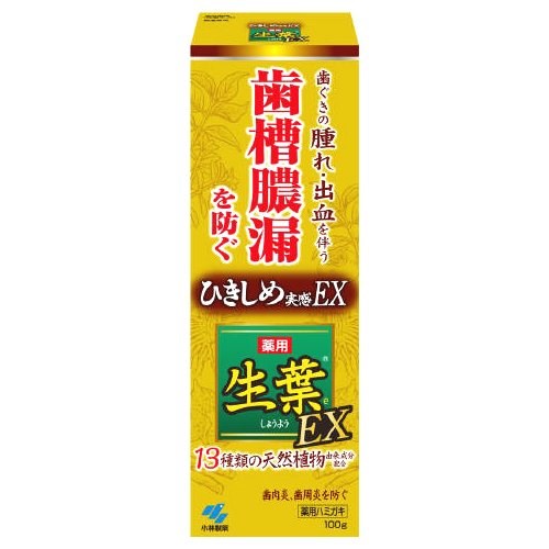 小林製薬 生葉EX100G 生葉