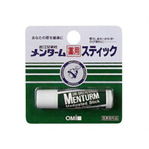 近江兄弟社　メンターム(MENTURM) 薬