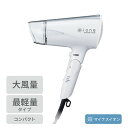 TESCOM（テスコム） マイナスイオンヘアードライヤー 【～4/17までエントリーでポイント最大11倍】テスコム TD335B-S マイナスイオン ヘアードライヤー IONE ライトシルバー TD335BS