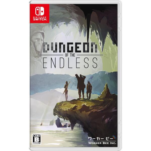 ダンジョン オブ ジ エンドレス（Dungeon of the ENDLESS(TM)） Nintendo Switch HAC-P-AVDBC