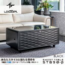 ロイヤル スマートテーブル LOOZER STB90β BLACK 冷蔵庫＆冷凍庫付き ステルス家電 スピーカー付 USBポート