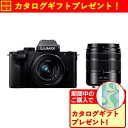 【推奨品】パナソニック DC-G100DW-K デジタル一眼カメラ 標準ズームレンズ＋望遠ズームレンズキット LUMIX G100D ブラック