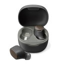PGA PG-BTE17TW1BK 完全ワイヤレス ステレオイヤホン カナルタイプ ブラック(2)