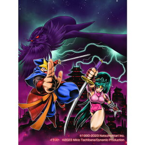 闇の仕事人KAGE Shadow of The Ninja 【Switch】 HAC-P-BGAAA(JPN)