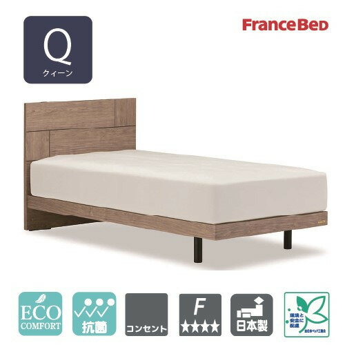 [クィーン]フランスベッド ベッドフレーム ライフトリートメント LT101FPLLGKGYFQ