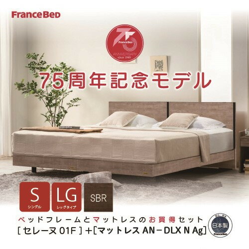 [シングル] フランスベッド ベッドセット セレーヌ01DLXAGLGSBRS SBR