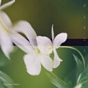 【CD】Omoinotake / ひとりごと