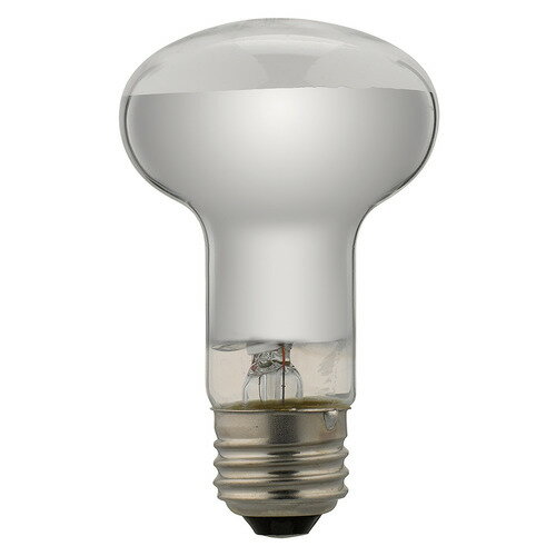 䥶拾ݥ졼 RF100110V38WL ŵ40W Ĺ̿ ۥ磻