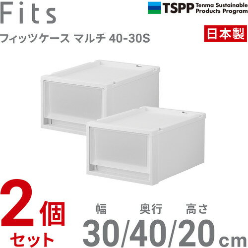 天馬 フィッツケース マルチ 40-30S 2個組 高さ20cm 収納ボックス Wクリア