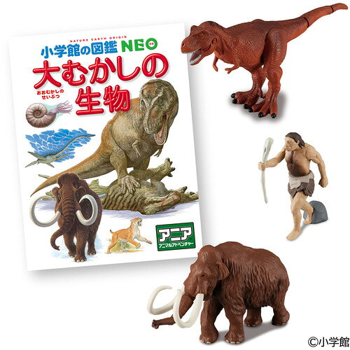 ※画像はイメージです。パッケージデザイン等は予告なしに変更されることがあります。※メーカーの欠品や製造中止により納期遅延、またはお届けできない場合がございます。※商品のパッケージ等につきましては商品本体の保護材のため、凹み、擦り傷や細かい傷等が付いている事があります。通常このような状態は返品・交換の対象外とさせていただいておりますので、何卒ご理解ご了承の程お願い致します。明らかな破損・不良が見られる場合は、良品との交換をさせていただく場合もございます。※発売済みの商品につきましては店舗併売の為、セキュリティタグが付いている場合がございます。※多くのお客様にご購入いただくため、同一住所や同一連絡先等で同じ商品を複数ご購入されたご注文はキャンセルさせて頂く場合がございます。また、弊社にて転売目的と判断させて頂いた場合もご注文をキャンセルさせて頂きます。それらの場合の返金手数料等はお客様負担となります。※掲載の商品が発売日前の場合、商品の発送は発売日以降となります。※商品によっては（ショクガンなど）、BOX販売やセット販売でない限りは複数種類あるうちの1種類をランダムにお届けとなります。なお種類の指定はできません。また、BOX販売やセット販売でない場合でも商品画像を複数種類まとめている場合がございます。内容をお確かめの上、ご注文ください。※ご注文頂くタイミングにより、品切れやメーカー製造中止によって商品のお届けが遅れたり、納品不可の場合がございます。今後の入荷予定を確認し、入荷が困難な場合は、誠に勝手ながらご注文はお取り消しさせて頂きます。※購入特典やキャンペーンについて記載がない商品に関しましては、特典は付属いたしません。また、店頭で行われているキャンペーンにつきましてはネット販売では対象外となる場合がございます。※発売日が異なる商品やお取り寄せ商品を同時にご注文された場合、すべての商品が入荷次第発送となります。※以上、あらかじめご了承の上、ご注文ください。メーカー名：タカラトミー商品名： アニア 小学館の図鑑NEO 大むかしの生物 ミニ図鑑付き 【商品詳細】●アニア　小学館の図鑑NEO　大むかしの生物　ミニ図鑑付きが登場！！対象年齢：3歳以上(C) TOMY (C)小学館発売日：2026年6月27日