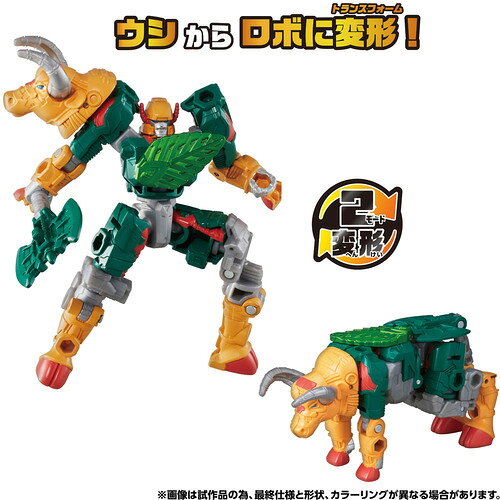 製品画像：19位
