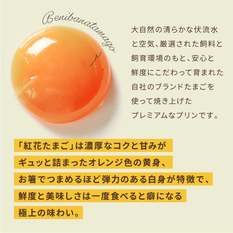 御歳暮 ギフト プリン 【 ウフウフガーデンのとろ生プリン 】メッセージカード同封可 送料無料 ぷりん プレゼント デザート 洋菓子 ギフト お取り寄せ 詰め合わせ ランキング 1位 高級プリン 高級 スイーツ 誕生日