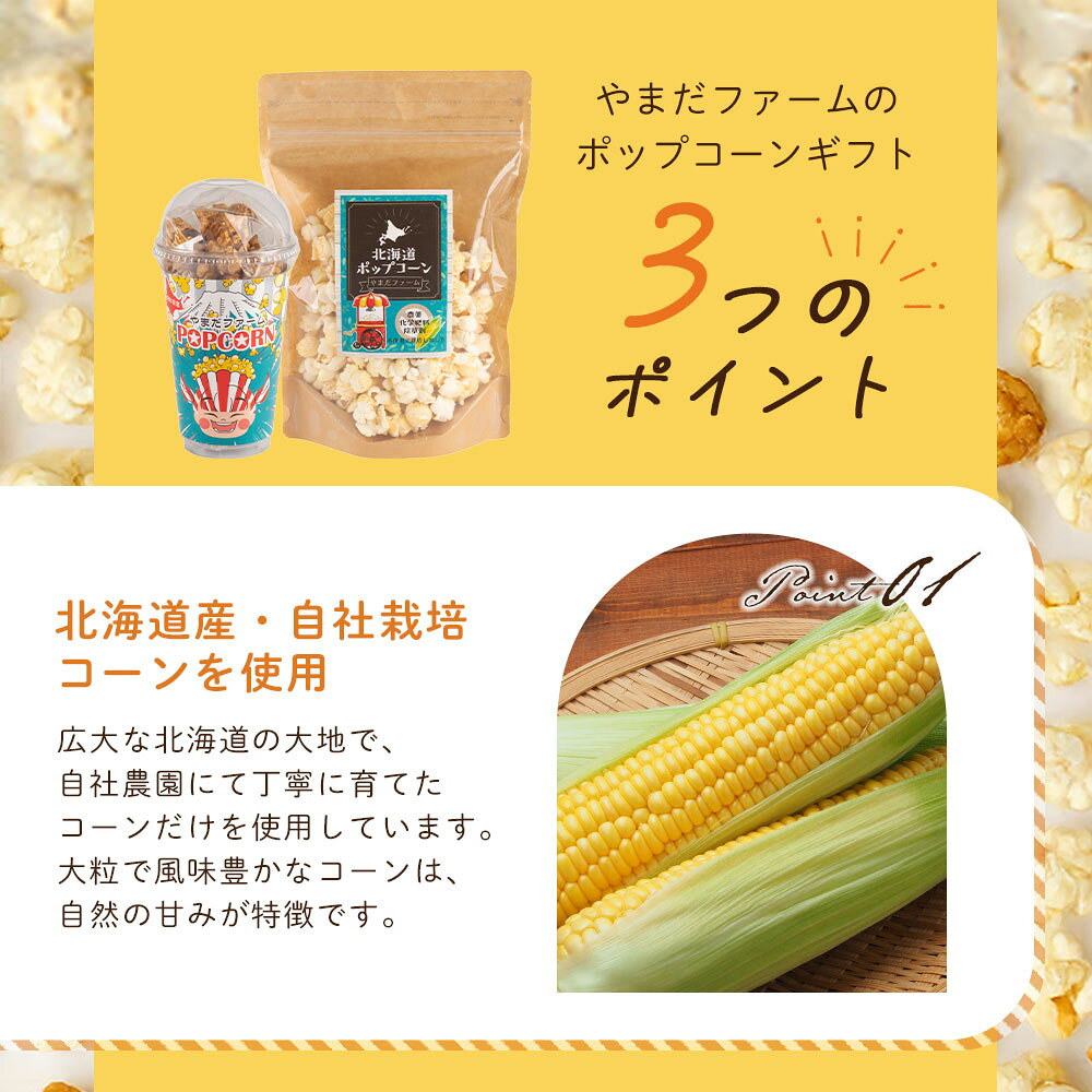 やまだファームのポップコーン ギフトセット お取り寄せ キャラメル 塩味 ご褒美グルメ 北海道グルメギフト キャラメルポップコーン 詰め合わせ 北海道のお土産 スナック菓子 キャラメルフレーバー ギフト 北海道土産 ポップコーン塩 スナックお菓子 ポップコーンキャラメルフレーバー｜アングル3