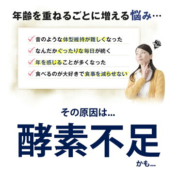 酵素 GOLDENENZYMEゴールデンエンザイム30包 酵素ドリンク 無添加 ファスティング 酵素パウダー 酵素サプリメント 酵素ジュース 粉末 ダイエット サプリ 乳酸菌 酵素ダイエット サプリメント ドリンク ダイエットドリンク 半日断食 短期集中 断食 麹菌 ギフト SSS