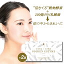 酵素ドリンク 酵素 乳酸菌 粉末 GOLDEN ENZYME ゴールデンエンザイム 2箱セット サプリメント サプリ 酵素ダイエット 酵素パウダー 酵..