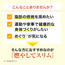 【山田養蜂場】燃やしてスリム 90粒袋入 ギフト プレゼント サプリメント 機能性表示食品 人気 健康 母の日 3