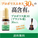 【山田養蜂場】【送料無料】プロポリス液30(ブラジル産) 30mL入 ギフト プレゼント 健康食品 人気 50代 60代 70代 80代