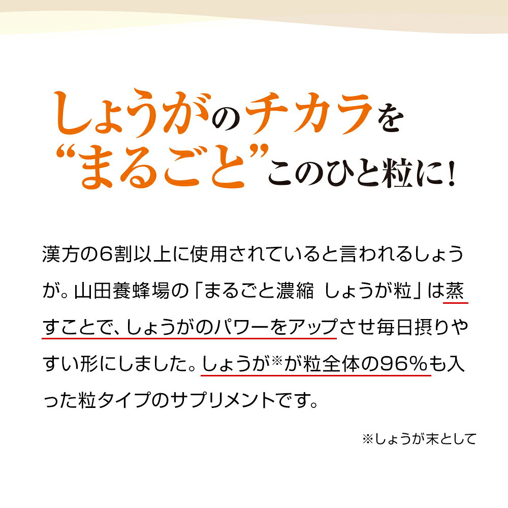 【山田養蜂場】まるごと濃縮しょうが粒 60粒袋入×5袋 ギフト プレゼント サプリメント 健康補助食品 健康 人気 健康 お中元 yamada3838-10002146 山田養蜂場 公式ショップ サンプル画像3