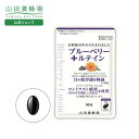 【山田養蜂場】ブルーベリー+ルテイン 60球/袋入 アントシアニン ビルベリーエキス ルテイン ゼアキサンチン ビタミンB12 ビタミンA ギフト サプリ サプリメント プレゼント 栄養機能食品 人気 健康 お中元