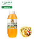 【山田養蜂場】 クローバー蜂蜜 ( カナダ産 ) 500g プラ容器 はちみつ 食べ物 食品 健康 男性 女性 父 母 夫 妻 両親 お取り寄せグルメ ギフト 贈答 プレゼント 誕生日 母の日 父の日