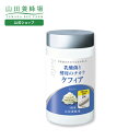 【山田養蜂場】乳酸菌と酵母のチカラ ケフィア 得用ボトル入/約3ヵ月分・192球入 ギフト プレゼント 健康食品 人気 健康 送料無料 敬老の日
