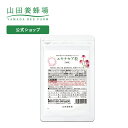 【山田養蜂場】【送料無料】エキナセア粒 90粒 袋入 健康食品 人気 健康 母の日