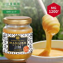  マヌカ蜂蜜 MG1200+ ( クリームタイプ ) 100g グリホサート検査済 はちみつ マヌカハニー 食べ物 食品 健康男性 女性 父 母 夫 妻 両親 お取り寄せグルメ ギフト 贈答 プレゼント 誕生日 高級 変わり種はちみつ 母の日