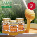 【山田養蜂場】 マヌカ蜂蜜MG50+(クリームタイプ)<200g>×3本 はちみつ ハチミツ マヌカハニー 食べ物 食品 健康 抗菌 活性 人気 注目 話題 イ...