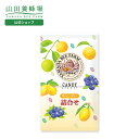 【山田養蜂場】 キャンディ詰合せ 100g入 (24-26粒) はちみつ 飴 お菓子 スイーツ 食べ物 食品 詰め合わせ 健康男性 女性 父 母 夫 妻 両親 お取り寄せグルメ ギフト 贈答 プレゼント 誕生日 母の日