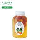 【山田養蜂場】きんかんはちみつ漬 450g ギフト プレゼント 食べ物 食品 はちみつ 健康 人気 健康 お取り寄せグルメ 高級 母の日
