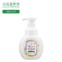 蜜みつ泡洗顔 250mL ギフト プレゼント 人気 健康 母の日