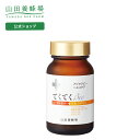 てくてく Bee 240粒 ギフト プレゼント サプリメント 健康補助食品 健康 人気 50代 60代 70代 80代 健康 母の日