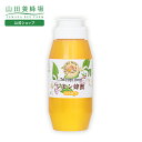 【山田養蜂場】レモン蜂蜜<300gプラ> レモン はちみつ 蜂蜜 パンケーキ レモネード 食べ物 食品 美味しい 人気 高級 ギフト プレゼント お取り寄せグル...