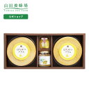 【山田養蜂場】はちみつバウムお楽しみセット 1セット ギフト プレゼント ギフトセット 贈り物 詰め合わせ 食べ物 食品 お菓子 健康 人気 健康 お取り寄せグルメ 高級 アカシア蜂蜜 内祝い お礼 引っ越し 挨拶 手土産 ホワイトデー