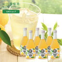 【山田養蜂場】ゆずハニードリンク＜500ml×6本＞ ギフト プレゼント 食品 はちみつ 健康 人気 ビタミンC 国産 クエン酸 瓶ジュース 瓶 ..