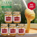 【山田養蜂場】 マヌカ蜂蜜 MG250+ ( クリームタイプ ) 100g×5本 はちみつ ハチミツ マヌカハニー 食べ物 食品 健康 抗菌 活性 人気 注目 ...