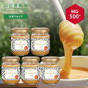 【山田養蜂場】 マヌカ蜂蜜 MG500+ ( クリームタイプ ) 100g×5本 はちみつ ハチミツ マヌカハニー 食べ物 食品 健康 抗菌 活性 ケア 男性 ...